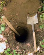 vykopání jámy na pečení