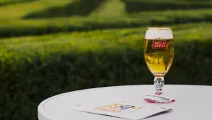 pivo stella artois