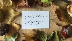 dyzajn festival market