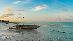Zanzibar