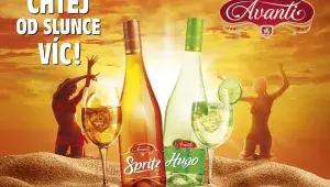avanti víno soutěž