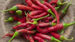 chilli papričky