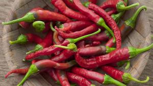 chilli papričky