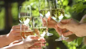 ochutnávání vína