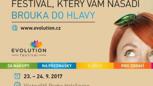 Festival Evolution 