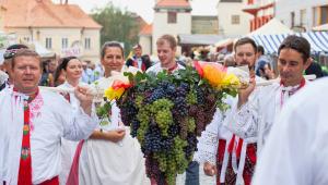 vinobraní