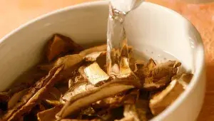 Namočené sušené houby