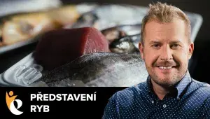Raditsch představení ryb 