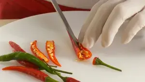 Chilli papričky Chilli papričky
