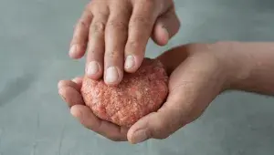 Tvarování  burgeru