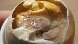 Balut