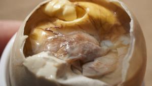 Balut