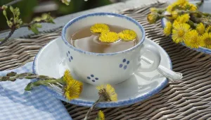 Čaj z podbělu