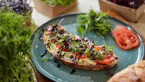 Chleba s mikrozeleninou