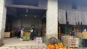 20251008_dýňová_farma_Bykoš_13.webp