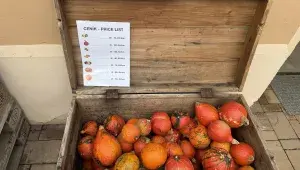 20251008_dýňová_farma_Bykoš_16.webp