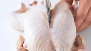 Porcování kuřete Porcování kuřete