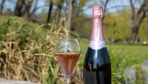 Šumivá vína z M&S