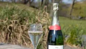 Šumivá vína z M&S