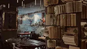 Kávárna Harry Potter v Ostravě