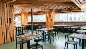 Šnycl Jana Punčocháře