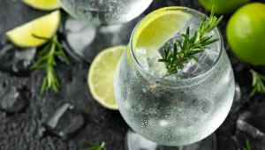 Gin s tonikem