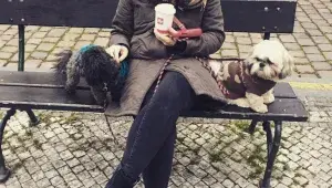 S pejsky chodí pravidelně na delší procházky