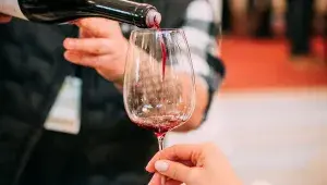 Festival Bottled Alive