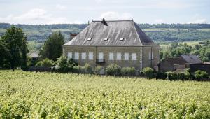 Burgundsko 