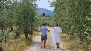 Úroda oliv je nižší