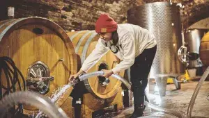 Dominika Černohorská