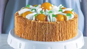 Dort Apricot Heleny Fléglové