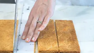 Dort Apricot Heleny Fléglové