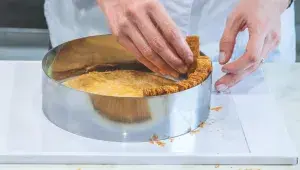 Dort Apricot Heleny Fléglové