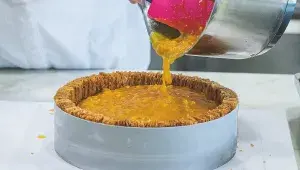 Dort Apricot Heleny Fléglové