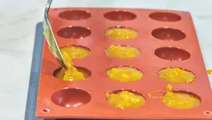 Dort Apricot Heleny Fléglové