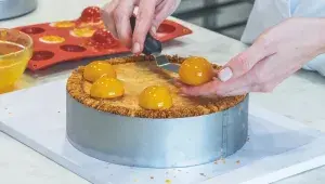 Dort Apricot Heleny Fléglové