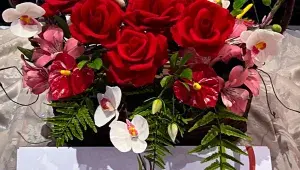 Soutěžní dílo Marie Motlové