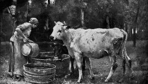 Hladomor v Čechách