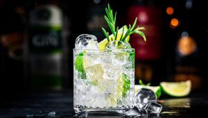 Gin_s_tonikem_a_rozmarynem_shutterstock_2459245949.jpeg