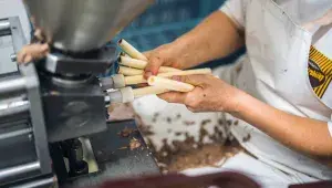 Petráčkovy Hořické trubičky