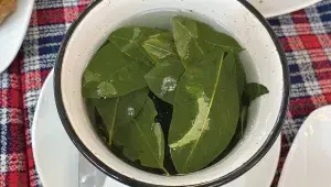 Coca