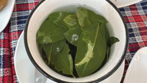 Coca