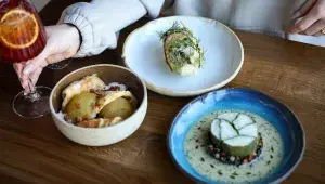 Na co se těšit v Karlínské holce?