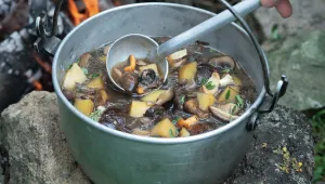 Kotlíkový houbový guláš