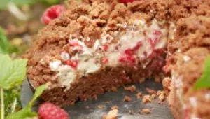 Krtkův dort Celiaxmoni