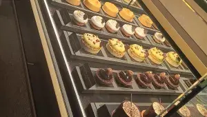 Obědová nabídka Kultur Casina v Bernu