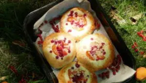 Kynuté koláče s tvarohem a ovocem