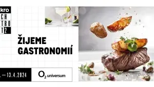 Makro Czech Gastro Fest 