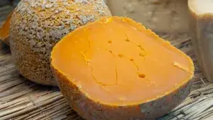 Mimolette_cheese_shutterstock_2515551705.jpeg